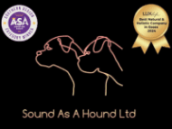 Sound as A Hound