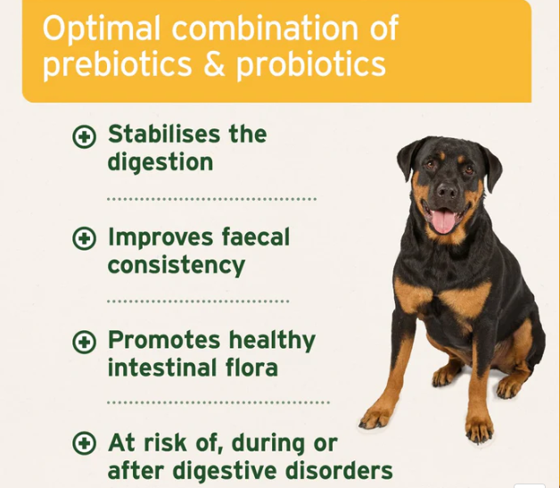Aniforte Plus Probiotic Tabs x90 - Image 3