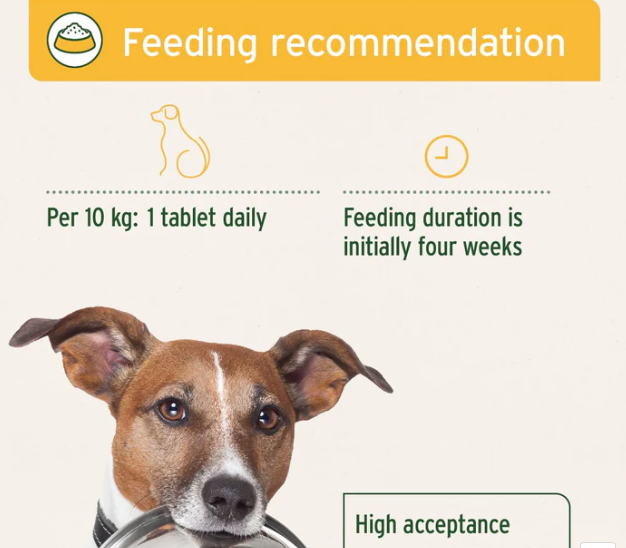 Aniforte Plus Probiotic Tabs x90 - Image 5