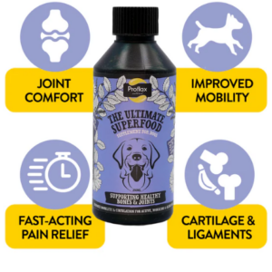 Proflax Bone & Mobility Support for dogs 100ml