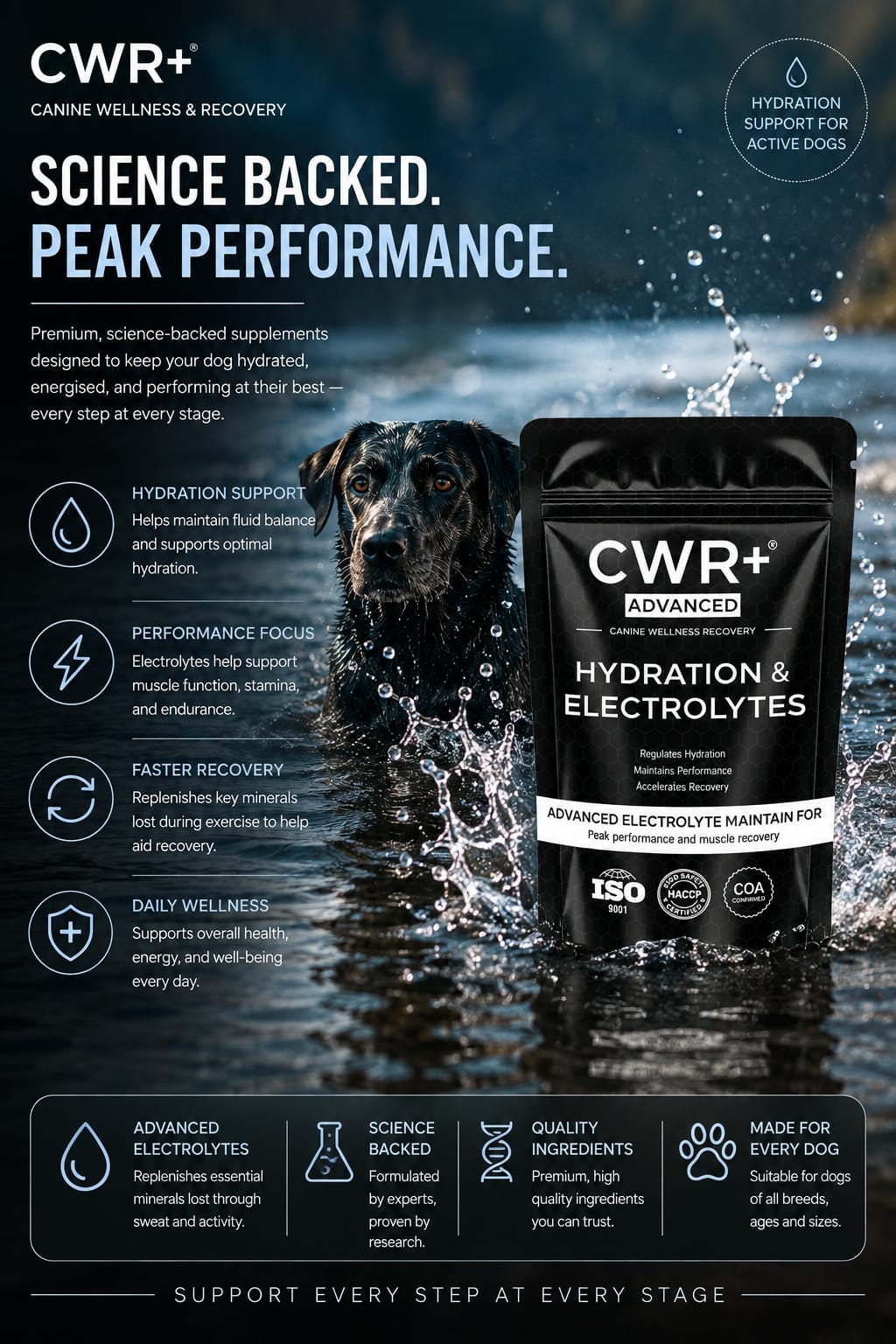 CWR+ Hydration & Electrolytes powder 160g - Image 2